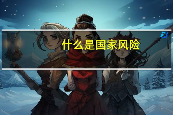 什么是国家风险