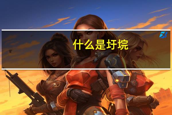 什么是圩垸