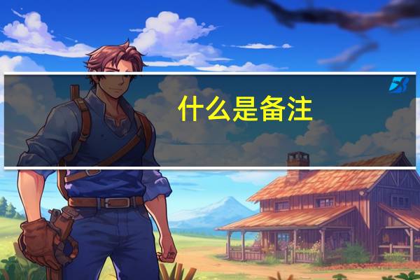 什么是备注