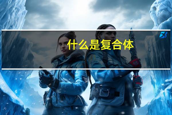 什么是复合体