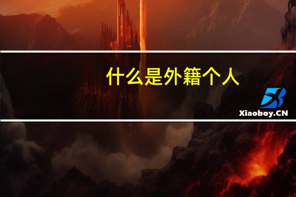 什么是外籍个人