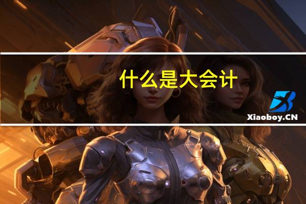 什么是大会计