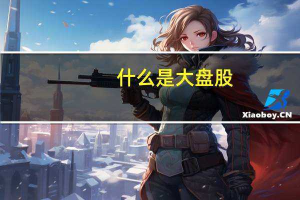 什么是大盘股?