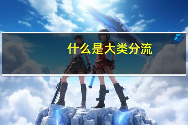什么是大类分流