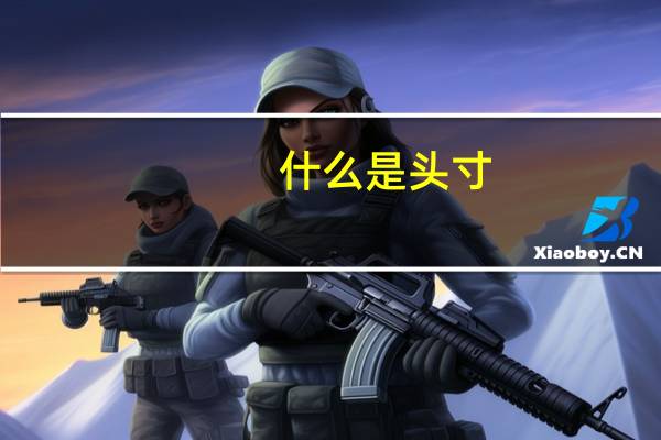 什么是头寸