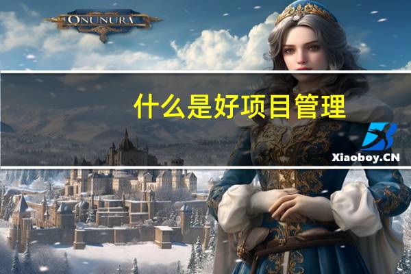 什么是好项目管理