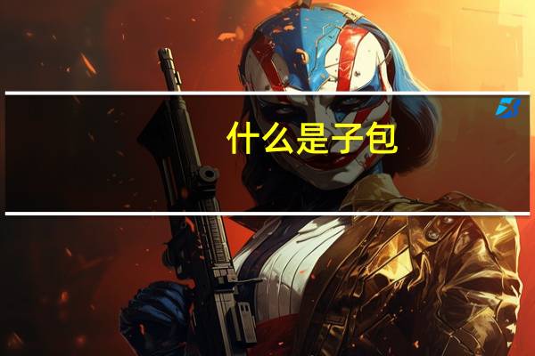 什么是子包