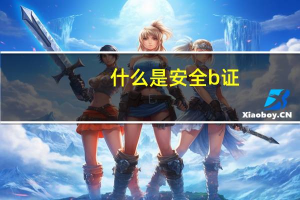 什么是安全b证