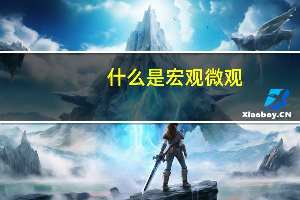 什么是宏观微观