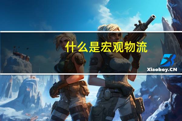 什么是宏观物流