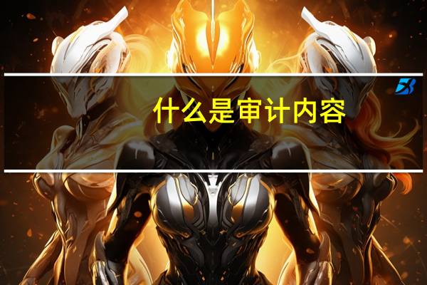 什么是审计内容