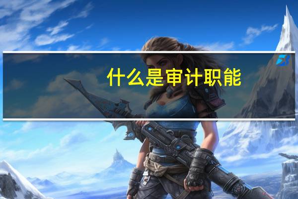 什么是审计职能