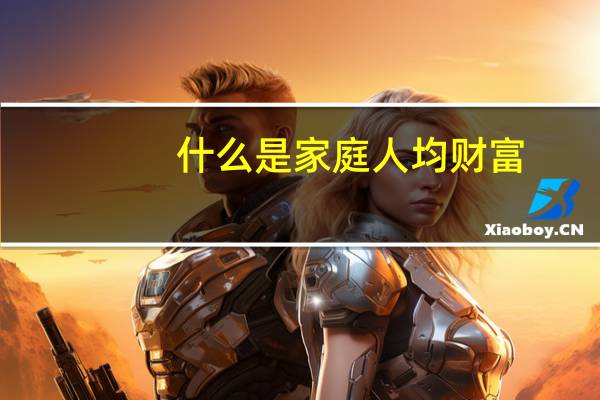 什么是家庭人均财富