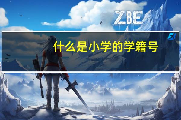 什么是小学的学籍号