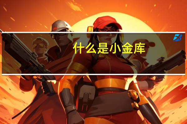 什么是小金库