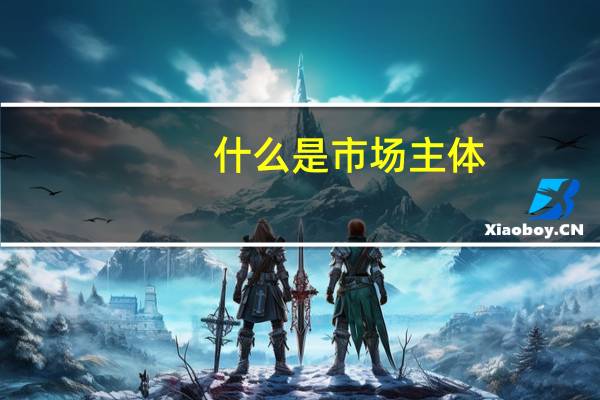 什么是市场主体