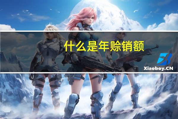 什么是年赊销额