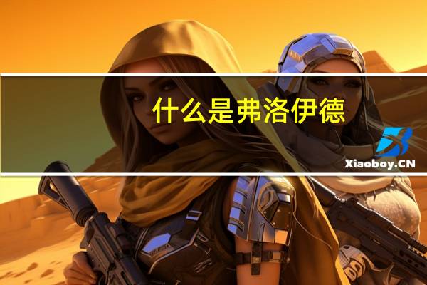 什么是弗洛伊德