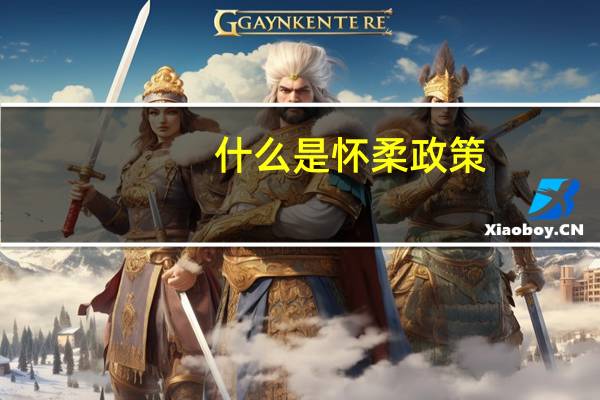 什么是怀柔政策
