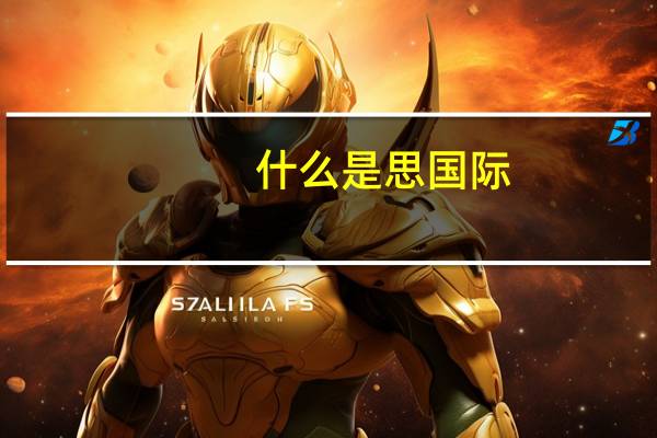 什么是思国际
