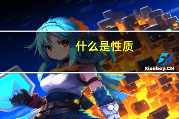 什么是性质