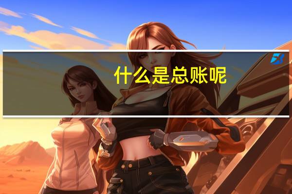 什么是总账呢