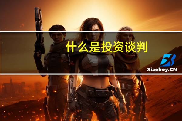 什么是投资谈判