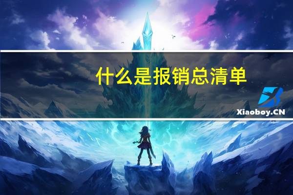 什么是报销总清单