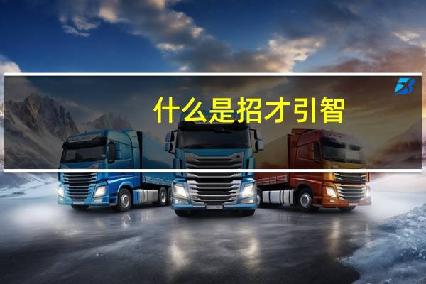 什么是招才引智