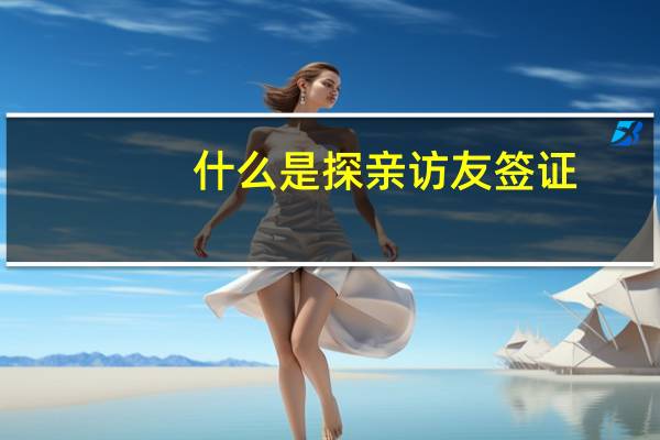 什么是探亲访友签证