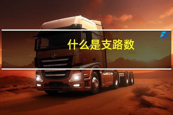 什么是支路数