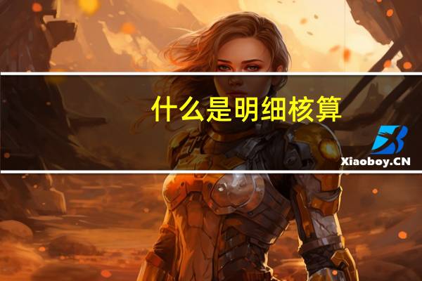 什么是明细核算