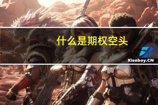 什么是期权空头