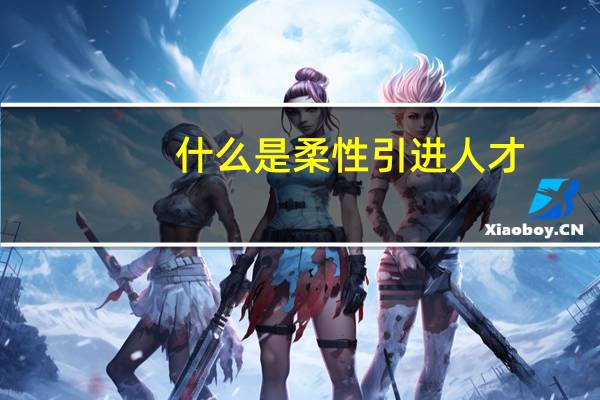 什么是柔性引进人才