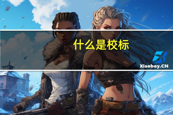 什么是校标