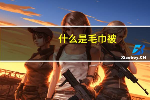 什么是毛巾被