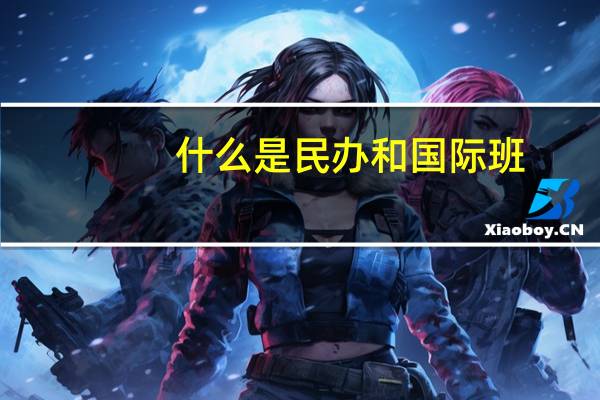 什么是民办和国际班