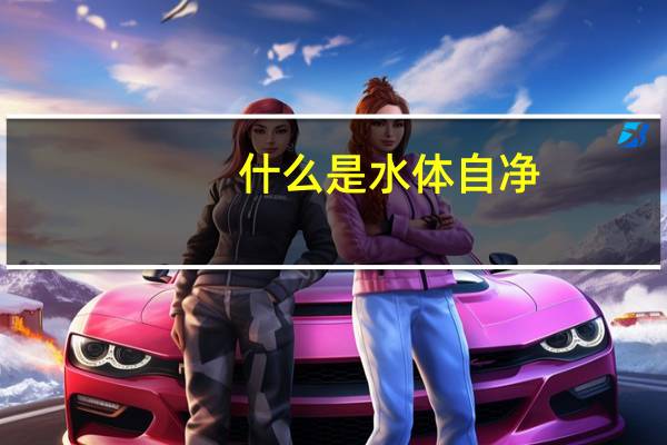 什么是水体自净