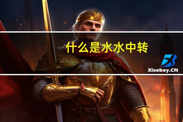 什么是水水中转