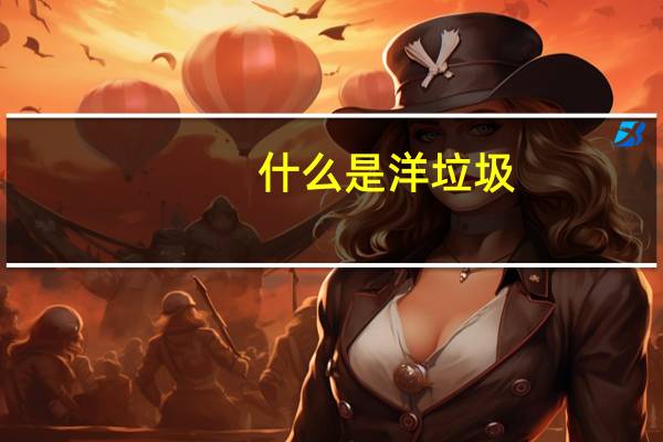 什么是洋垃圾