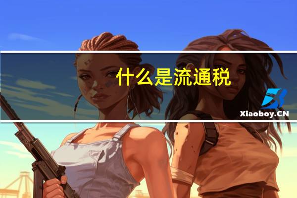 什么是流通税