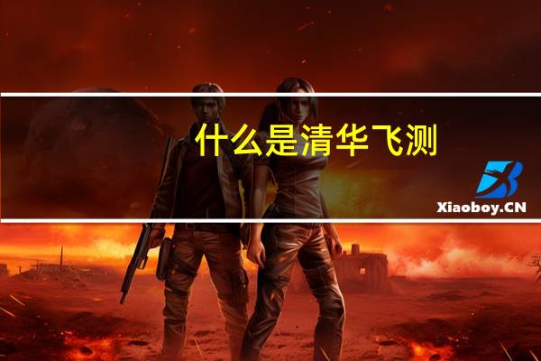 什么是清华飞测