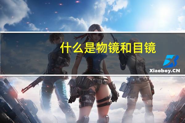 什么是物镜和目镜