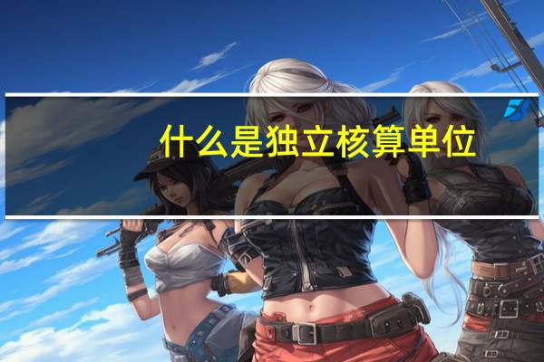 什么是独立核算单位
