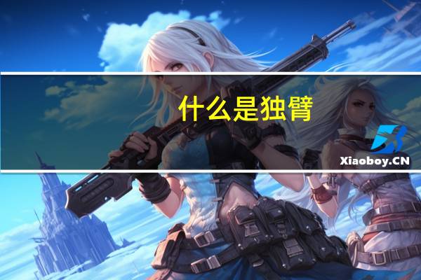 什么是独臂