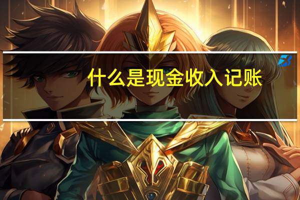 什么是现金收入记账