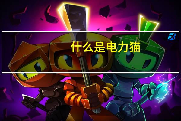 什么是电力猫