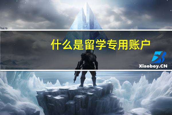 什么是留学专用账户