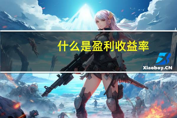 什么是盈利收益率