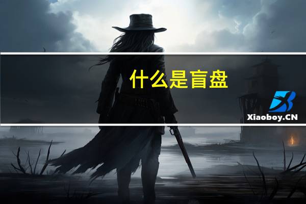 什么是盲盘
